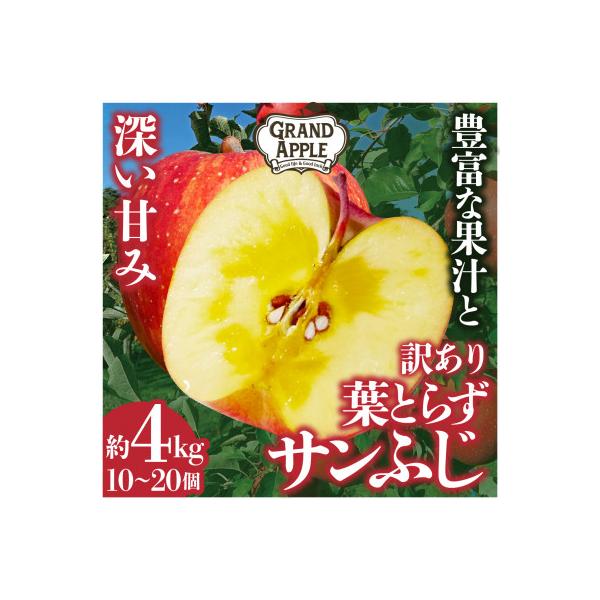 産地直送　葉とらずサンふじ　訳あり　約4kg