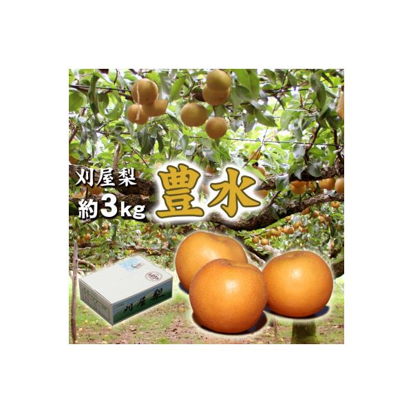 酒田刈屋梨 ちょっとした酸味が癖になる豊水 約3kg(6～8玉入り)