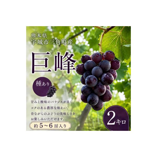 【先行予約】【数量限定】熊本県 宇城市産 巨峰 ぶどう 2kg 【みのだ農園】