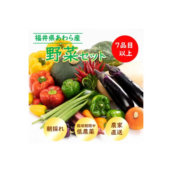 農家直送 旬の野菜セット 7品目以上 1箱