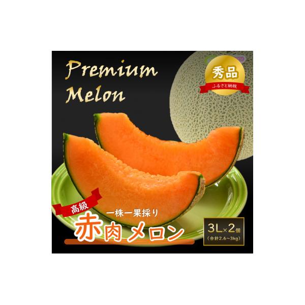 【先行受付】一株一果採り 高級赤肉メロン 3L 2玉入 約2.6～3kg《秀品》佐藤農園の赤肉メロン