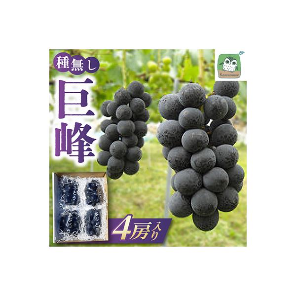 長野県生坂村産　種無し巨峰4房入り