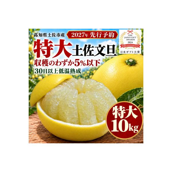 【日本ギフト大賞受賞・先行予約】園主こだわり土佐文旦特大10kg 家庭用 高知県土佐市産 やの一果彩
