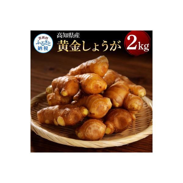 高知県産　黄金しょうが　2kg【SNS001】