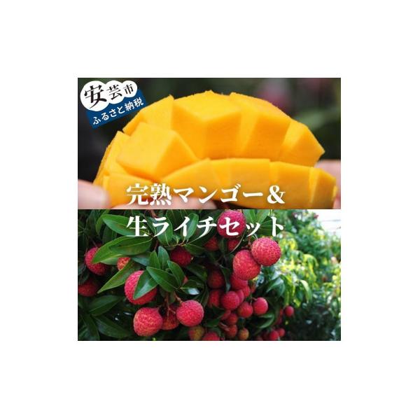 メリーガーデンの完熟マンゴー&生ライチセット(小)