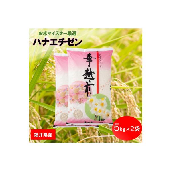 福井県産【令和8年産】ハナエチゼン 10kg