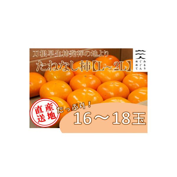 【R8年10月以降発送】刀根早生柿発祥の地※より「たねなし柿」L~2L(1段箱16～18玉)