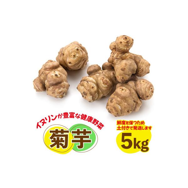 菊芋(きくいも)健康野菜5kg
