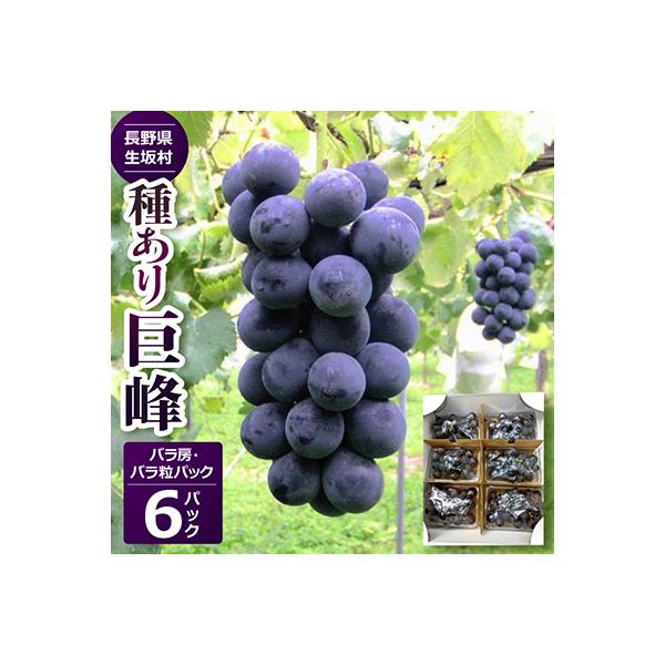 種あり巨峰　バラ房・バラ粒パック(420g×6パック)【2026年度出荷分】
