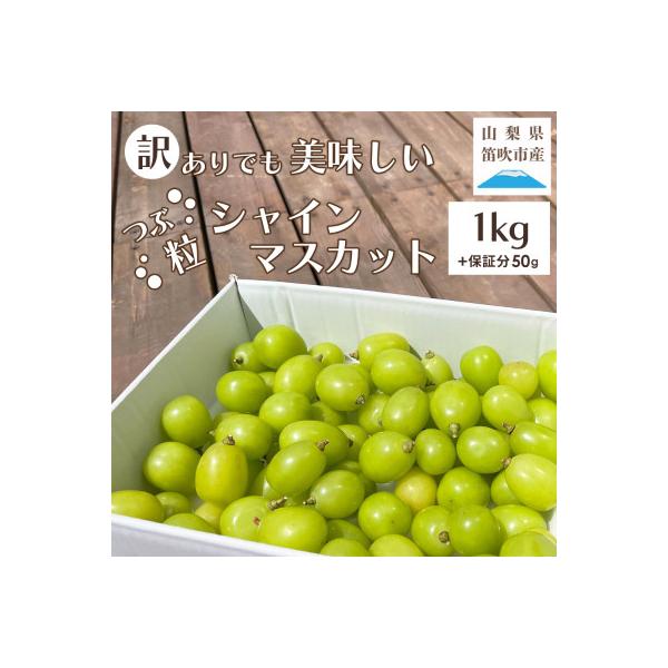 山梨県笛吹市産　訳あり　粒1kg以上(+保証分50g)　シャインマスカット(種なしぶどう)フルーツ