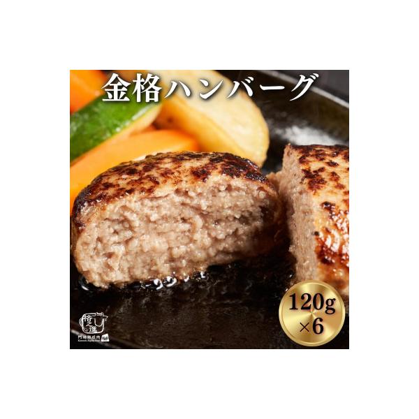 格之進の金格ハンバーグ 120g×6個　プレミアム 高級 国産 牛肉 白金豚