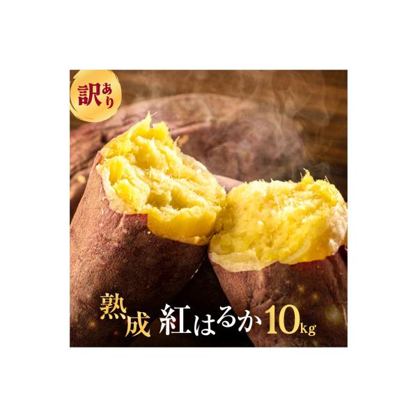 【先行受付】訳ありさつまいも 紅はるか10kg サイズ無選別 熟成済