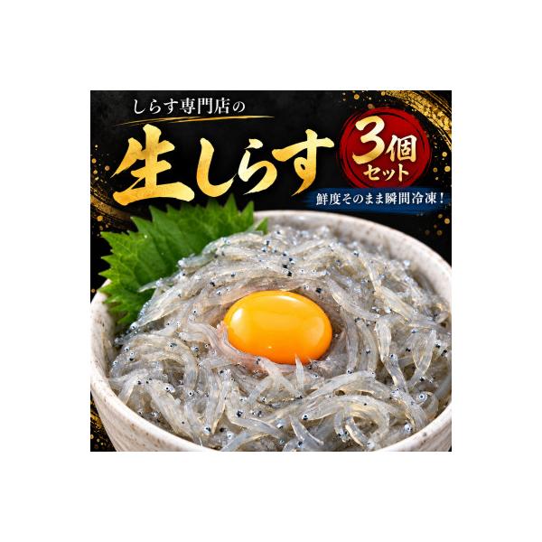 土佐のお刺身「生しらす」3個セット <しらす出汁を使った特製のポン酢タレ付き>