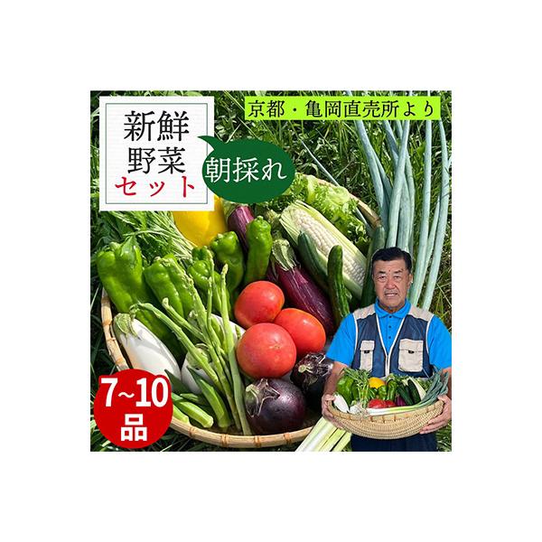 【訳あり】農家直送!佐伯の里の新鮮 季節の野菜セット 7～10品目
