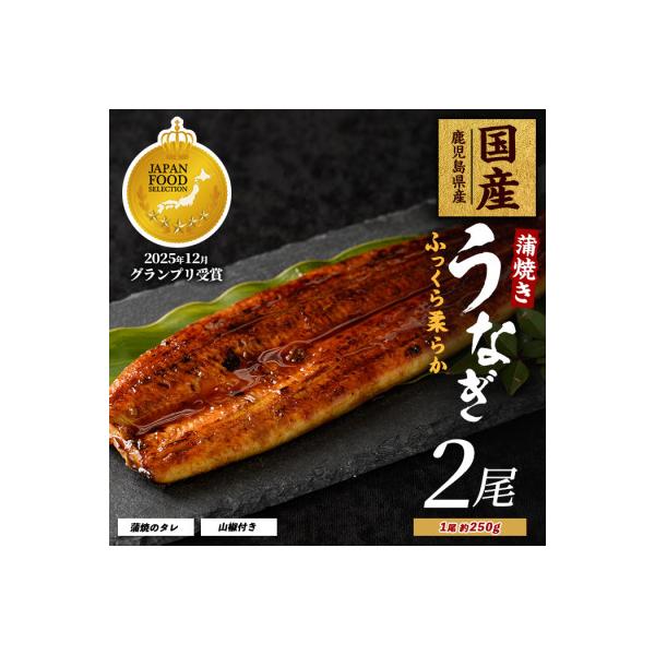 鹿児島県産うなぎ蒲焼じっくり焼き約250g×2尾 IB021-001
