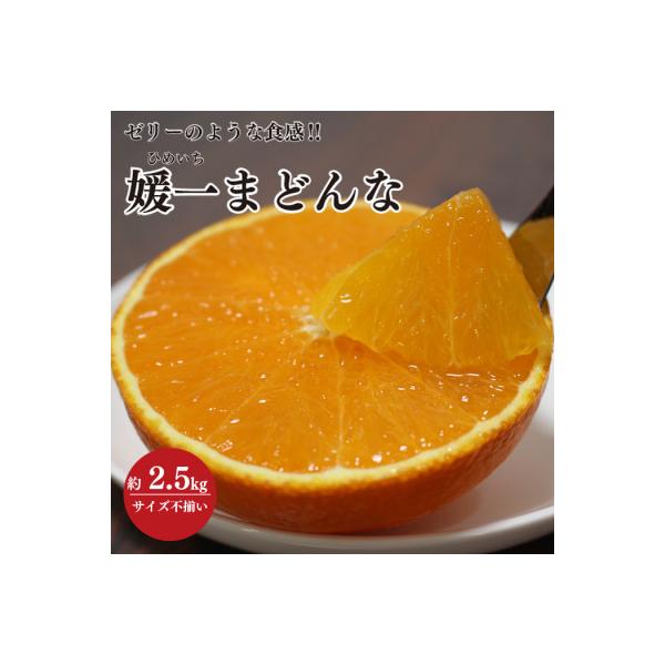【2026年11月以降発送】ゼリーのような食感!「媛一まどんな」約2.5kg入【C28-42】