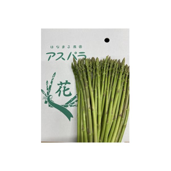 ■お礼品詳細　・配送種別：冷蔵便　・提供元：はなまる農園■お申し込み・配送・その他　・発送時期：2026-03-20〜2026-10-30(お届け時間帯指定可)　・申込受付期間：〜2026-10-20　・配達外のエリア：離島、北海道、沖縄県...