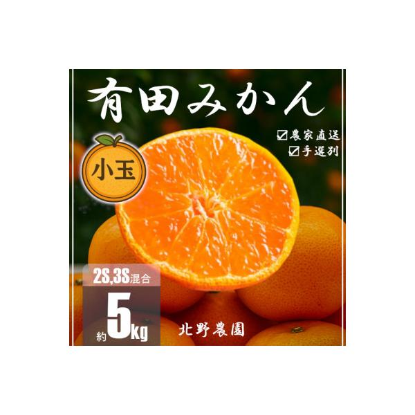 家庭用 有田みかん 和歌山 訳あり 小玉(2S,3Sサイズ混合) 5kg