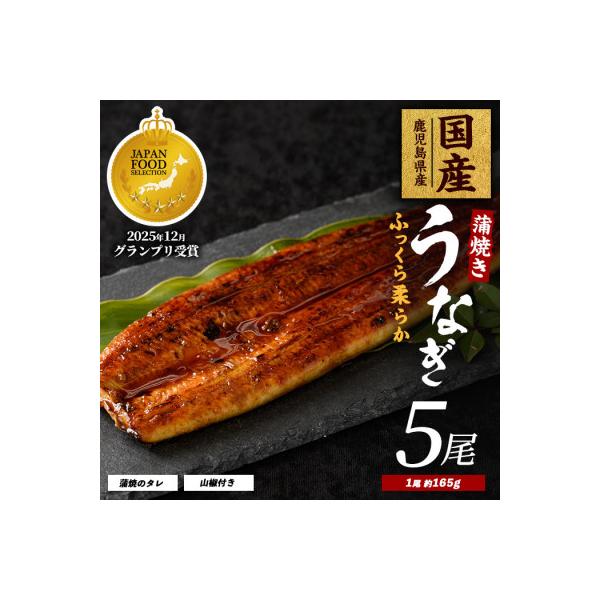 鹿児島県産うなぎ蒲焼じっくり焼き約165g×5尾 IB021-002