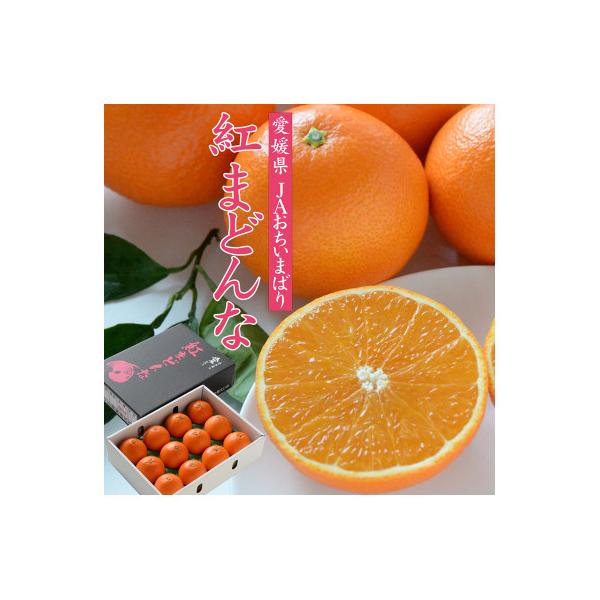 【先行受付】紅まどんな　化粧箱　3L～L　10～15玉　愛媛県　JAおちいまばり