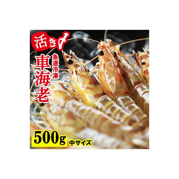 【沖縄県久米島産】活〆急速冷凍車海老(お刺身可/500g/25～29尾/約14cm/中サイズ)