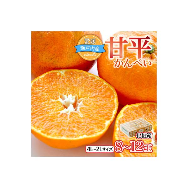 【先行受付】甘平(かんぺい)化粧箱　4L～2Lサイズ　8～12玉　愛媛県JAおちいまばり