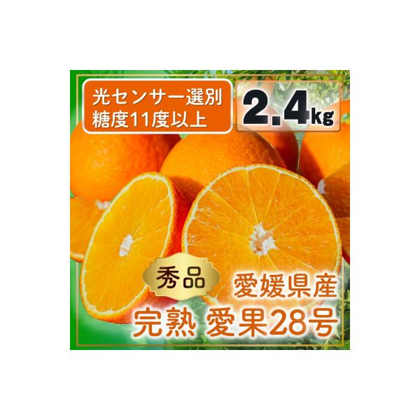 先行予約 2026年11月下旬発送 愛果28号(紅まどんなと同品種)秀品2.4kg(8個～15個)