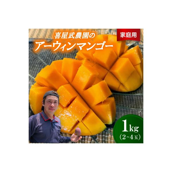 【先行受付・2026年6月から順次発送・家庭用】喜屋武農園のアーウィンマンゴー1kg(2～4玉)