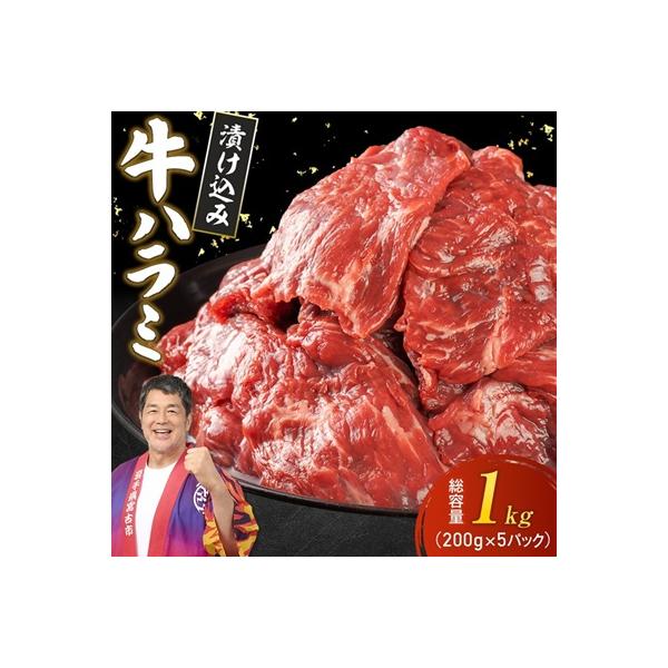 吉田精肉店の漬け込み牛ハラミ 1kg (200g×5P)