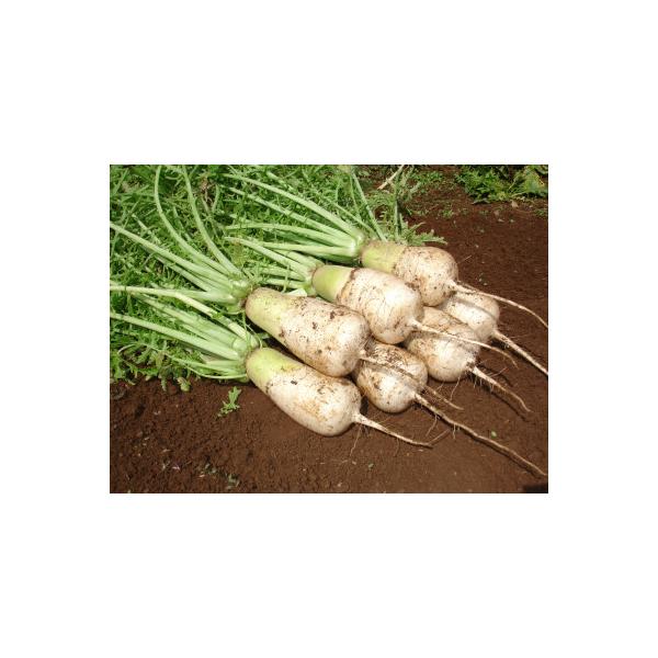 ■お礼品詳細　・配送種別：通常　・提供元：味ロッジ株式会社■お申し込み・配送・その他　・発送時期：2025-12-08〜2026-01-30(お届け時間帯指定可)　・申込受付期間：2025-12-01〜2026-01-23　・配達外のエリア...