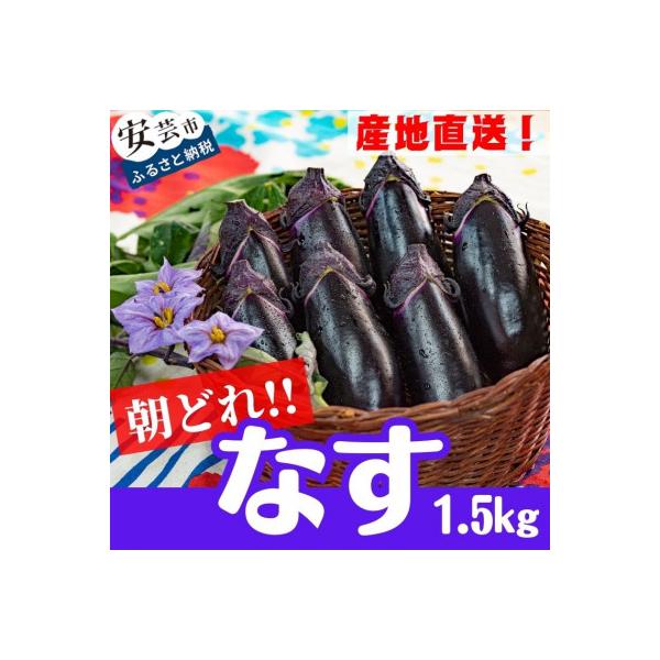 農家直送!高知県安芸市産　朝採れナス　1.5kg