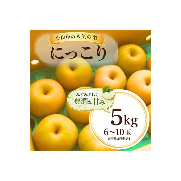 ずっしり5kg【にっこり】　栃木県小山市産の梨