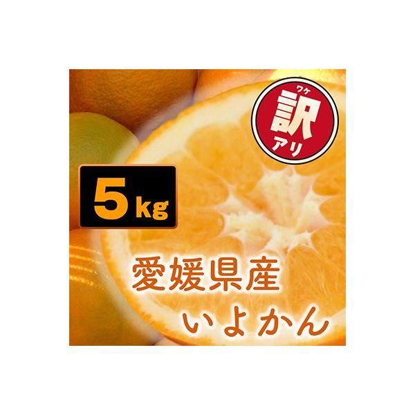 《先行受付》訳あり家庭用 宮内伊予柑 5kg　愛媛県産 【2027年1月下旬～2月順次発送】みかん
