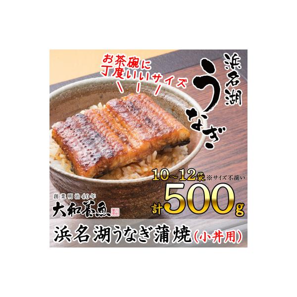浜名湖うなぎ蒲焼(小丼用)計500g　【訳あり】サイズ不揃い10～12袋