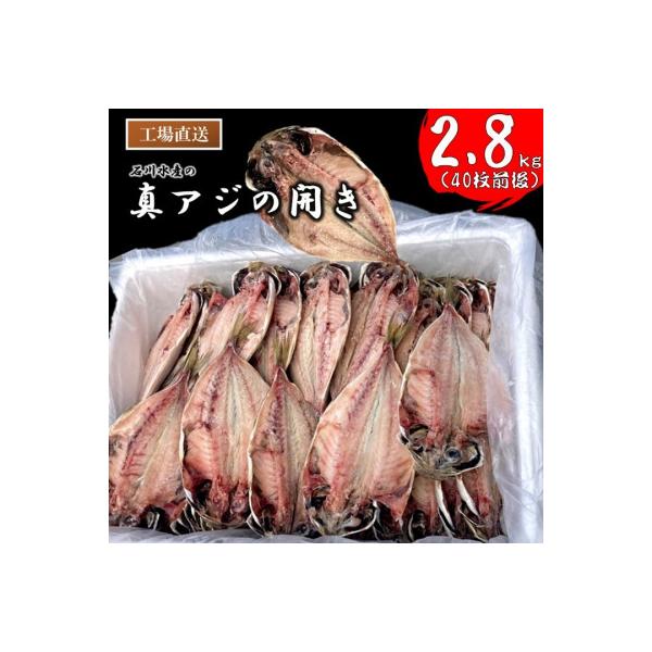 【さとふる限定】訳あり 真アジの開き干物 約2.8kg(40枚前後)冷凍