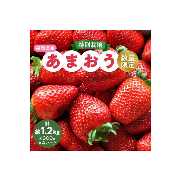 【数量限定】特別栽培あまおう4パック【2026年12月より順次発送】