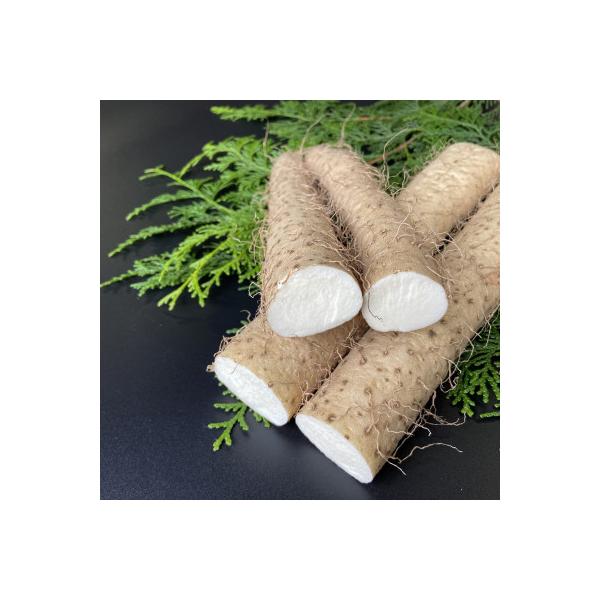 ■お礼品詳細　・配送種別：通常　・提供元：矢口農産■お申し込み・配送・その他　・発送時期：お申し込み後1〜2週間程度で順次発送予定(お届け時間帯指定可)　・申込受付期間：通年　・配達外のエリア：　・寄付証明書の送付時期目安：申込完了日から２...