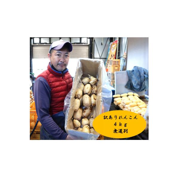 ■お礼品詳細　・配送種別：冷蔵便　・提供元：北郷レンコンファーム■お申し込み・配送・その他　・発送時期：2025-08-01〜2026-03-31(お届け時間帯指定可)　・申込受付期間：〜2026-03-25　・配達外のエリア：離島　・寄付...