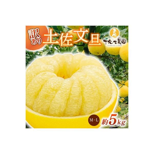 千光士農園の土佐文旦(ご家庭用小玉) 5kg
