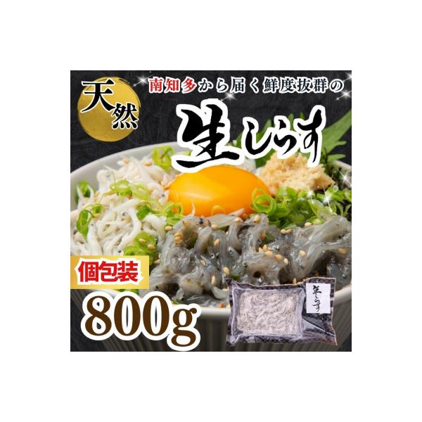 【南知多直送】天然生しらす 800g(100g×8袋)純国産・お刺身・鮮度抜群＜岬だより＞
