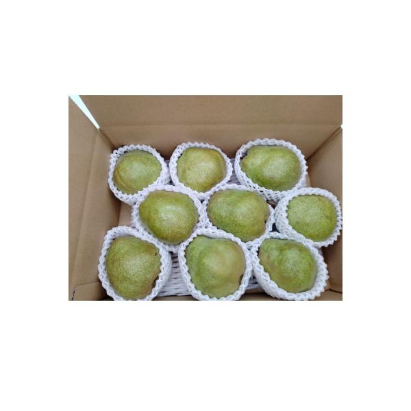 ■お礼品詳細　・配送種別：通常　・提供元：株式会社エナジーファーム■お申し込み・配送・その他　・発送時期：2026-10-24〜2026-11-30(お届け時間帯指定可)　・申込受付期間：〜2026-11-20　・配達外のエリア：離島　・寄...