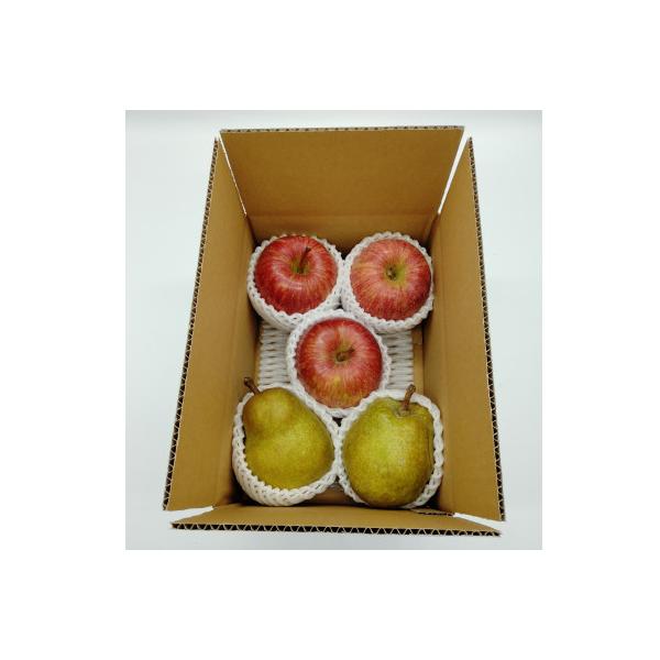 ■お礼品詳細　・配送種別：通常　・提供元：株式会社エナジーファーム■お申し込み・配送・その他　・発送時期：2026-10-24〜2026-12-10(お届け時間帯指定可)　・申込受付期間：〜2026-11-20　・配達外のエリア：　・寄付証...