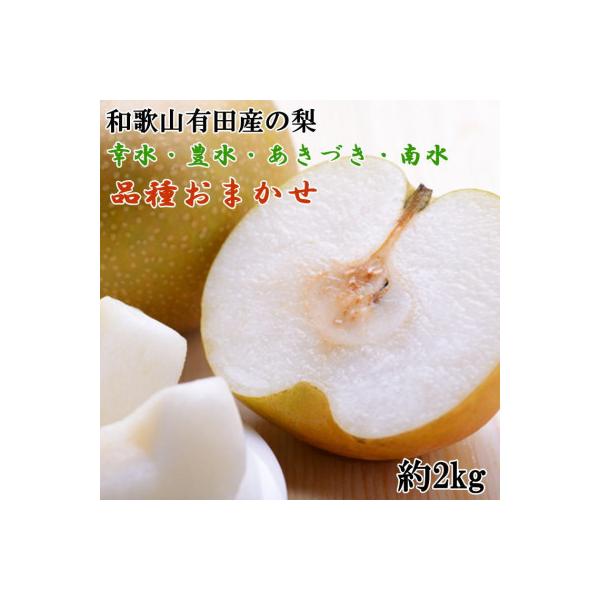 ■お礼品詳細　・配送種別：冷蔵便　・提供元：有田川町厳選館■お申し込み・配送・その他　・発送時期：2026-08-07〜2026-09-15(お届け時間帯指定可)　・申込受付期間：2025-09-09〜2026-08-30　・配達外のエリア...