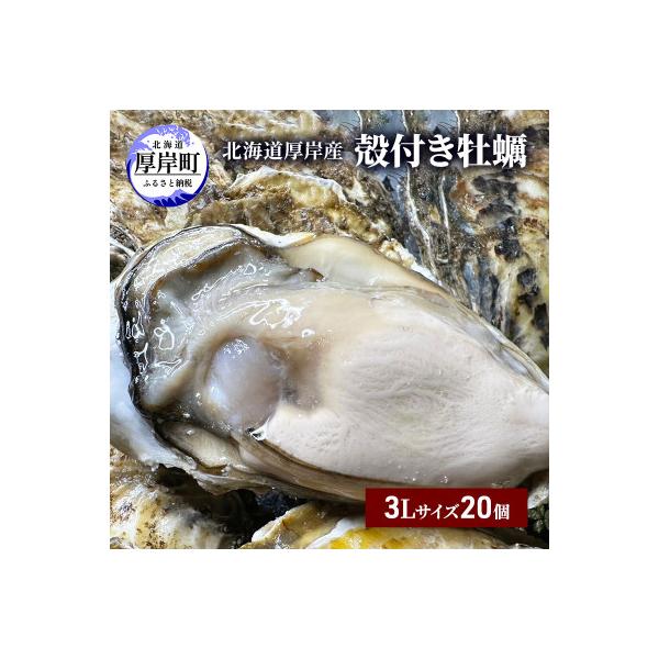 北海道厚岸産殻牡蠣【マルえもん 3Lサイズ　20個入り】 牡蠣ナイフ&軍手付き