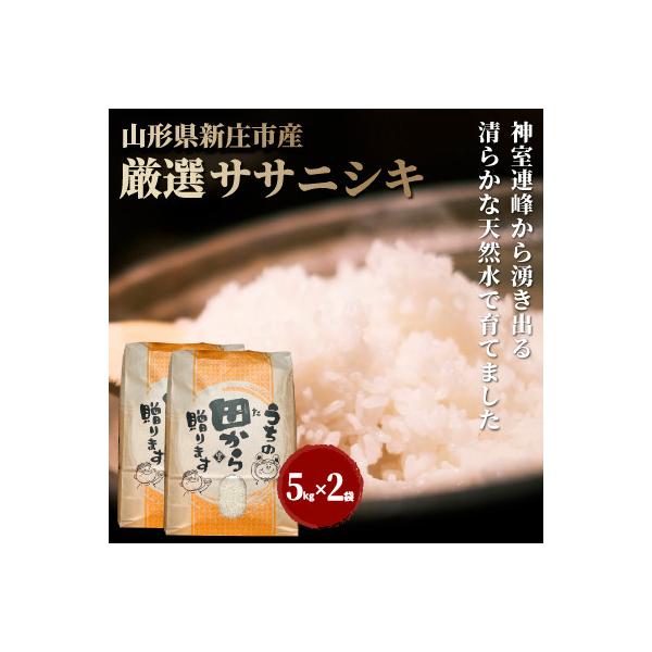 令和7年　厳選ササニシキ10kg (5kg×2袋)