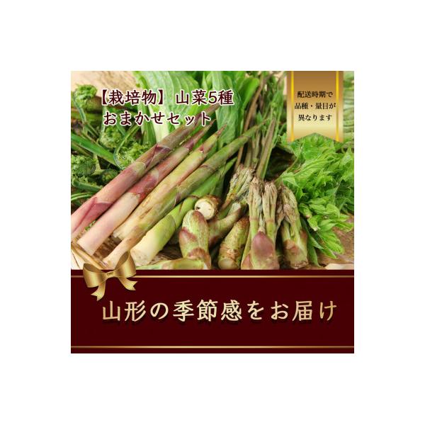 ■お礼品詳細　・配送種別：冷蔵便　・提供元：株式会社　浜中屋■お申し込み・配送・その他　・発送時期：2026-04-10〜2026-06-10(お届け時間帯指定可)　・申込受付期間：〜2026-05-15　・配達外のエリア：離島　・寄付証明...