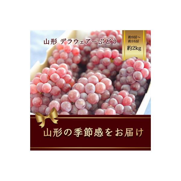 デラウェアーぶどう　約9房～約16房 約2kg【令和8年先行予約】