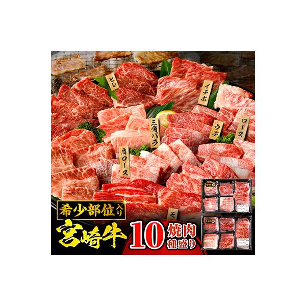 宮崎牛 焼肉 10種盛り合わせ 合計600g　希少部位 贈答用にも