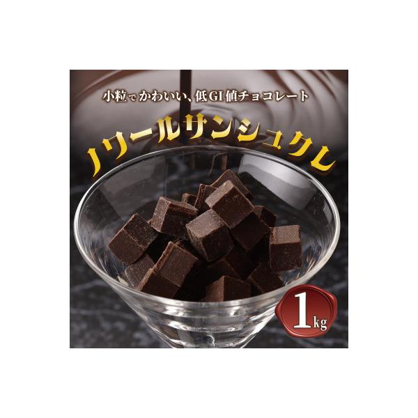 ふるさと納税 泉佐野市 低GI値 小粒 チョコレートノワールサンシュクレ 1kg 500g×2 シュガーレス