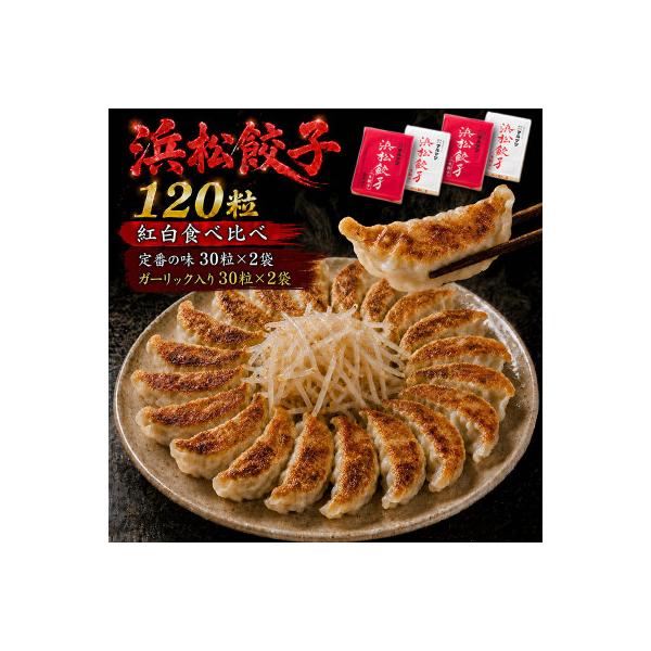 浜松餃子　120粒　2種味くらべ(定番の味60粒、スライスガーリック入り60粒)総重量2.4kg!